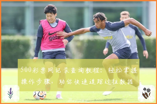 500彩票网记录查询教程：轻松掌握操作步骤，助你快速追踪过往数据